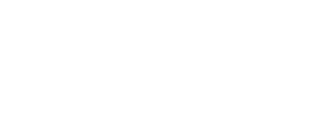 Insigna
